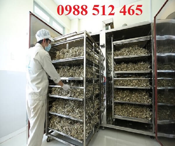 TỦ SẤY THUỐC NAM INOX